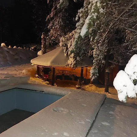 בית נופש Caloroczny Rysiowka Na Kaszubach Z Basenem Bania Sauna Bilardem Na Wylacznosc - Ostrowite Lesna Dolina