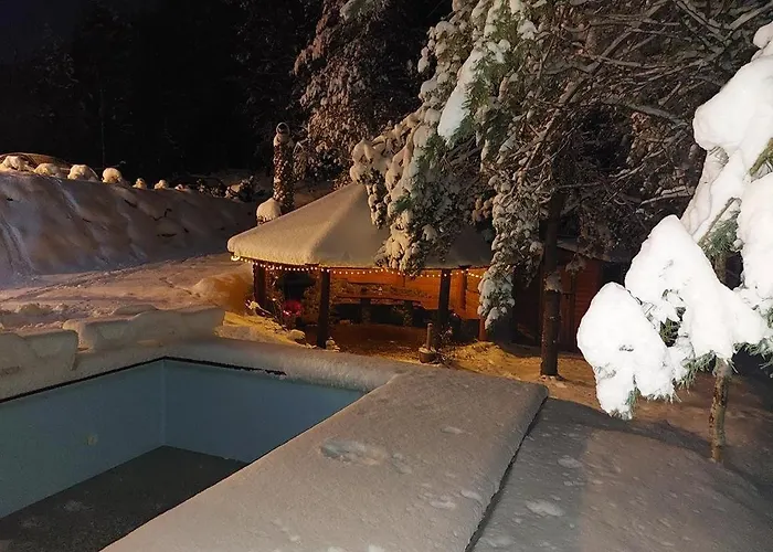 Prázdninový dům Caloroczny Rysiowka Na Kaszubach Z Basenem Bania Sauna Bilardem Na Wylacznosc - Ostrowite Lesna Dolina