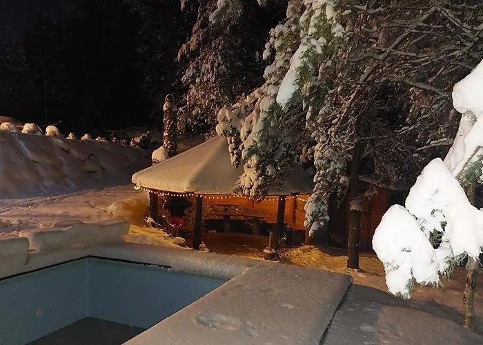 Prázdninový dům Caloroczny Rysiowka Na Kaszubach Z Basenem Bania Sauna Bilardem Na Wylacznosc - Ostrowite Lesna Dolina *